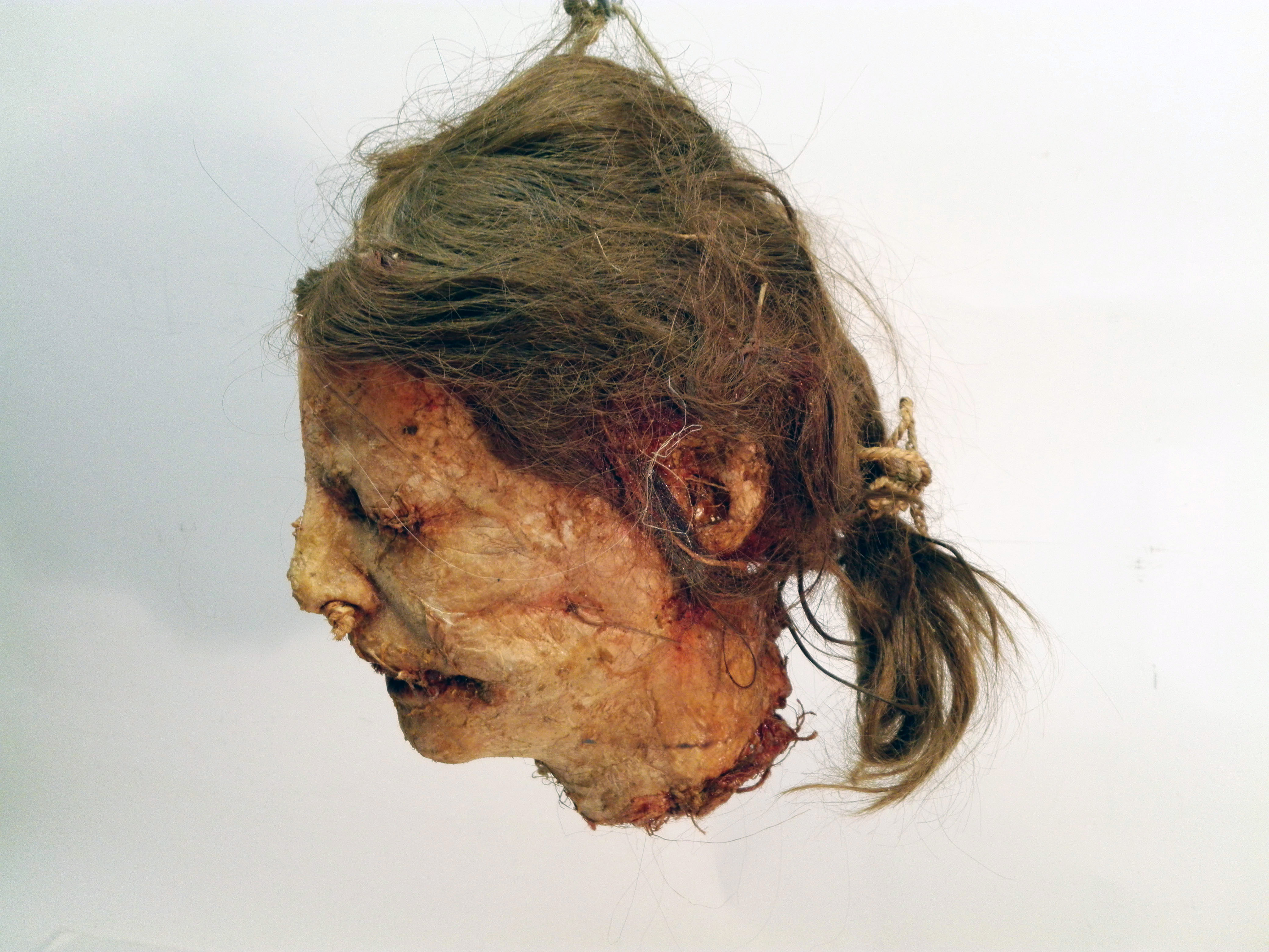 cabeza no2 hombre coleta momificado replica 30x18x22 1u